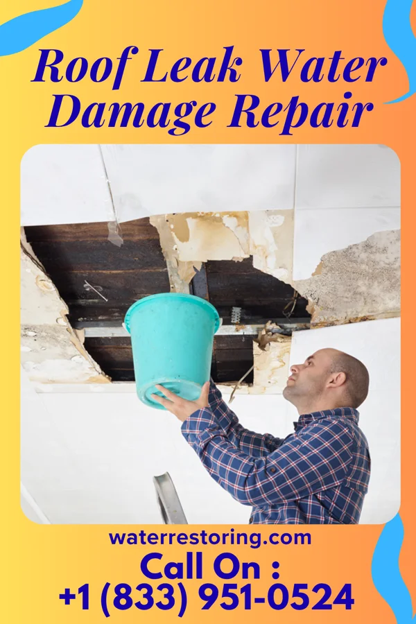Roof Leak Water Damage Repair in Freeport, CA